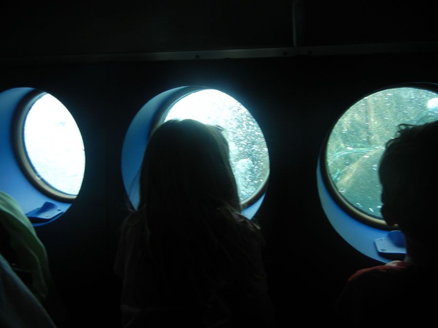 Disneyland Tomorrowland Submarine Picture